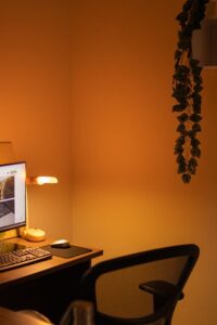 Tips for Creating a Cozy and Productive Home Office Environment